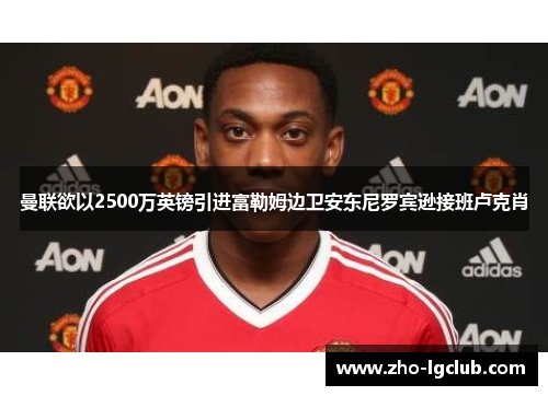 曼联欲以2500万英镑引进富勒姆边卫安东尼罗宾逊接班卢克肖